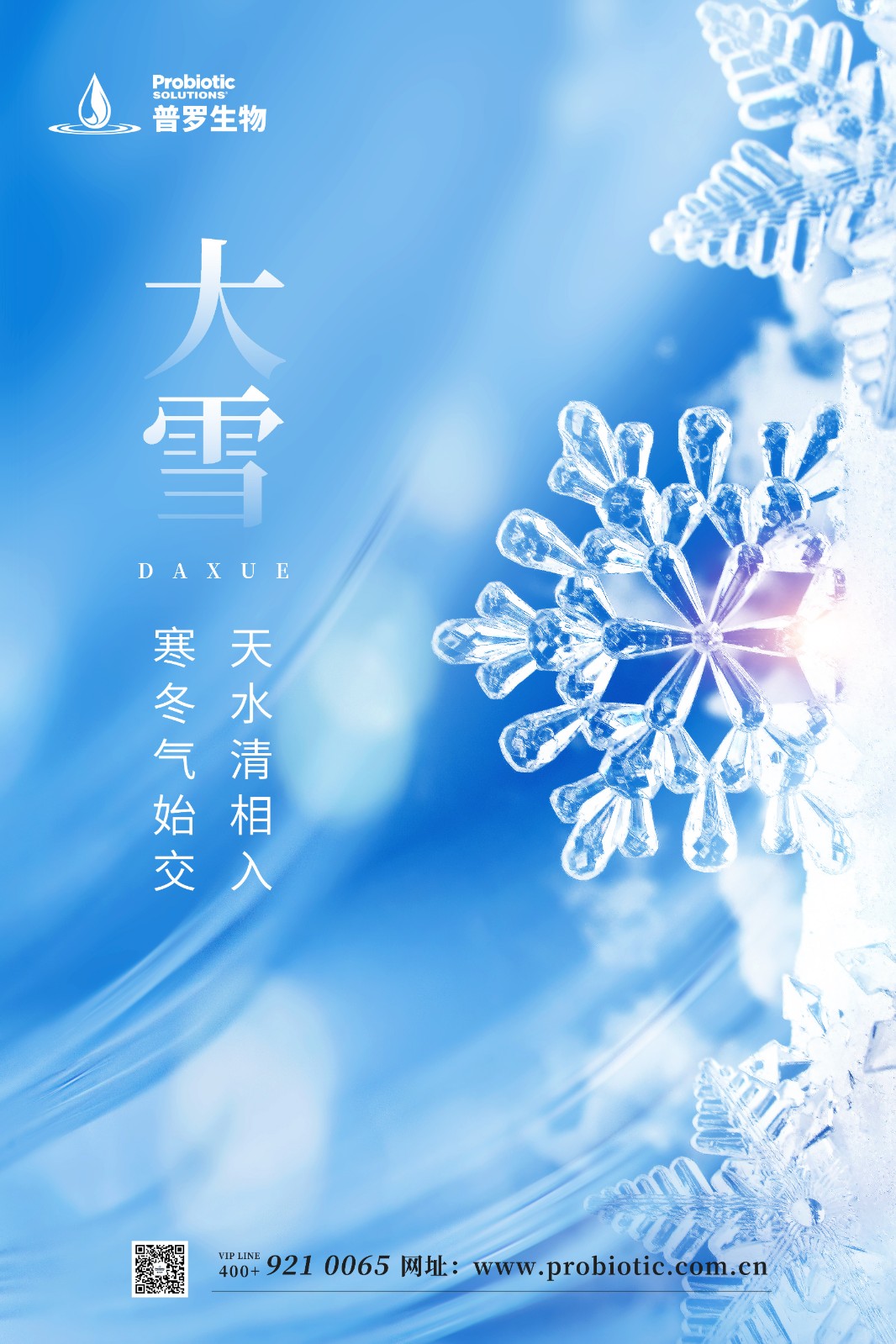 普羅生物|大雪