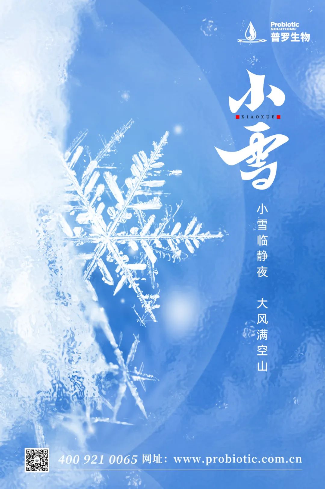 2022小雪.jpg